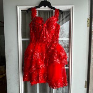 A never been worn size 4 red lace dress